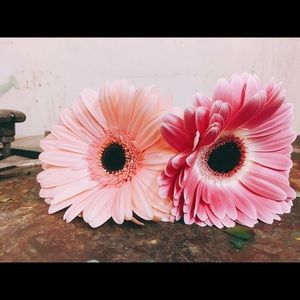 Meet your Posher, Miranda